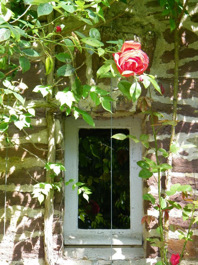 Chateau De Canisy Exterior foto